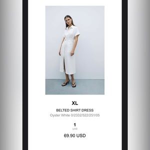 Zara Belted Shirt Dress XL